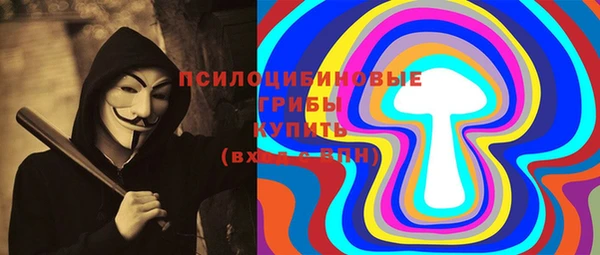 ПСИЛОЦИБИНОВЫЕ ГРИБЫ Нязепетровск