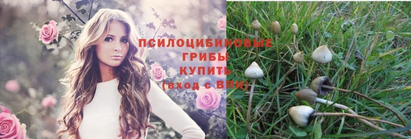 первитин Няндома