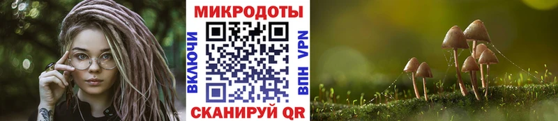 Псилоцибиновые грибы Cubensis  Чегем 